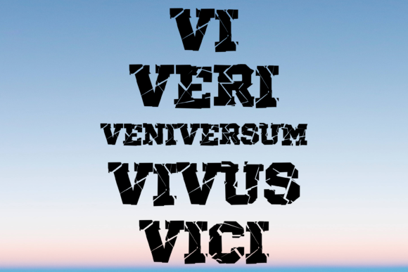 Vi Veri Veniversum Vivus Vici: A Designer's Embroidery Review